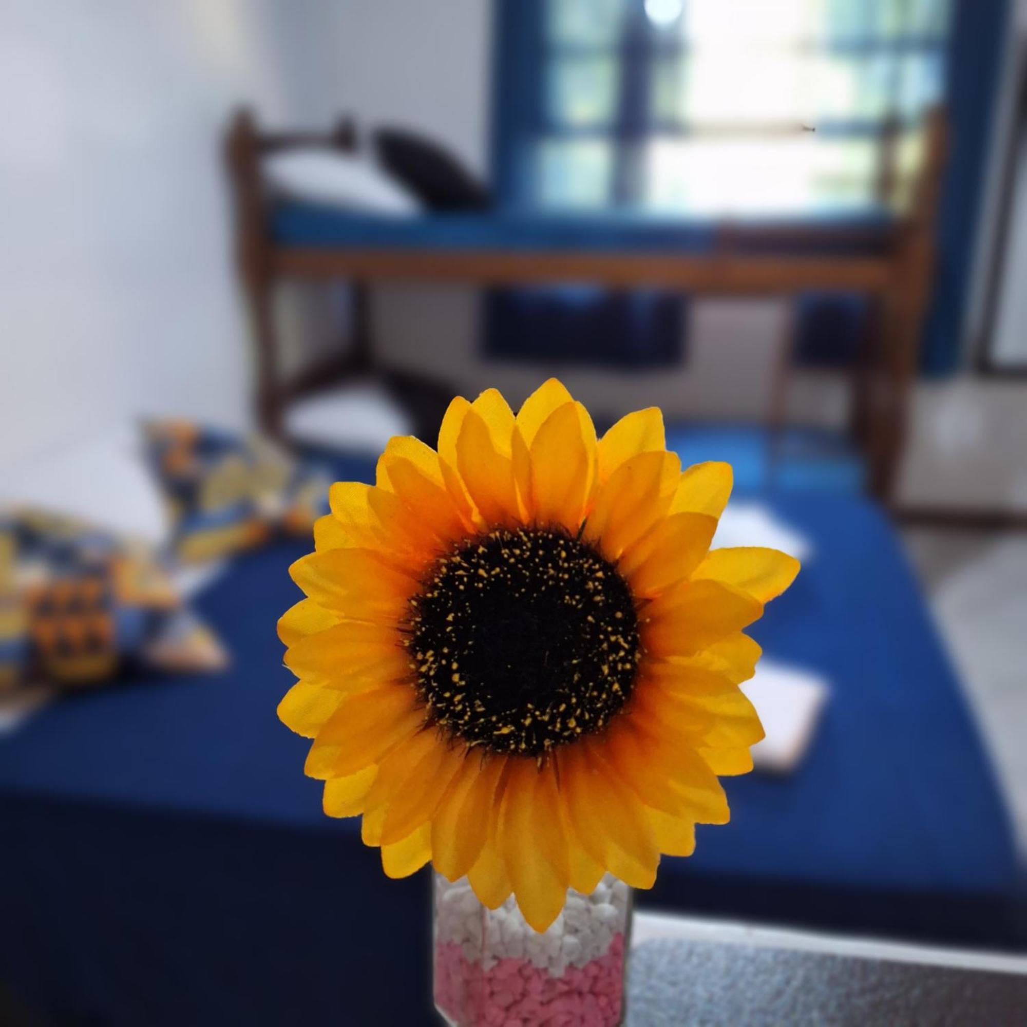 5To Elemento House Hotel Armacao dos Buzios ภายนอก รูปภาพ
